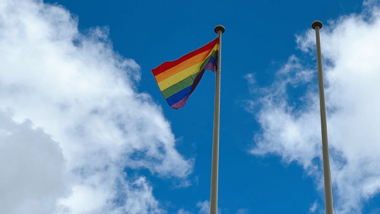 Municipio de Viseu recusa hastear bandeira arco íris LGBTQIA+